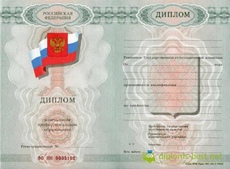 Диплом училища (ПТУ) с 2008 по 2010 годы