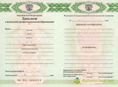 Диплом училища (ПТУ) с 2011 по 2014 годы